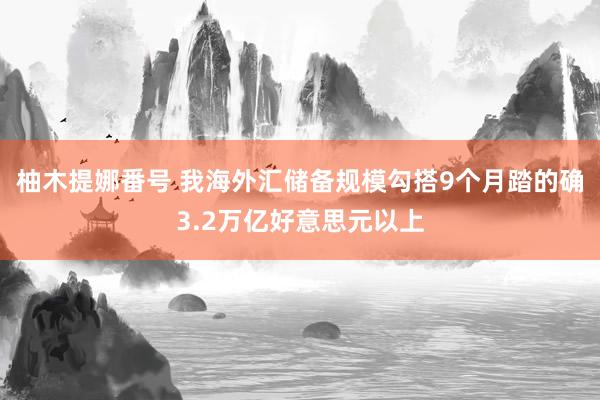柚木提娜番号 我海外汇储备规模勾搭9个月踏的确3.2万亿好意思元以上