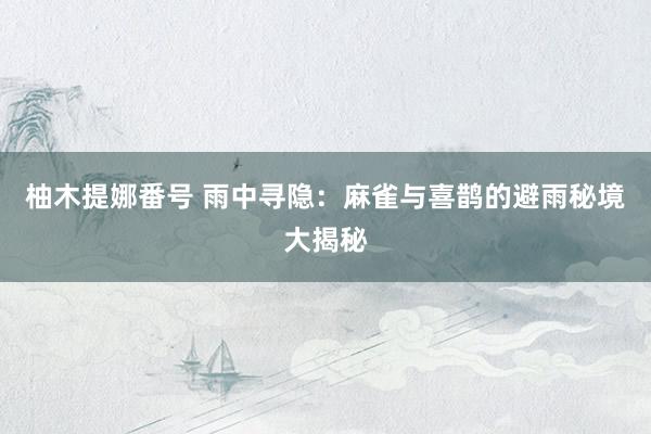 柚木提娜番号 雨中寻隐：麻雀与喜鹊的避雨秘境大揭秘