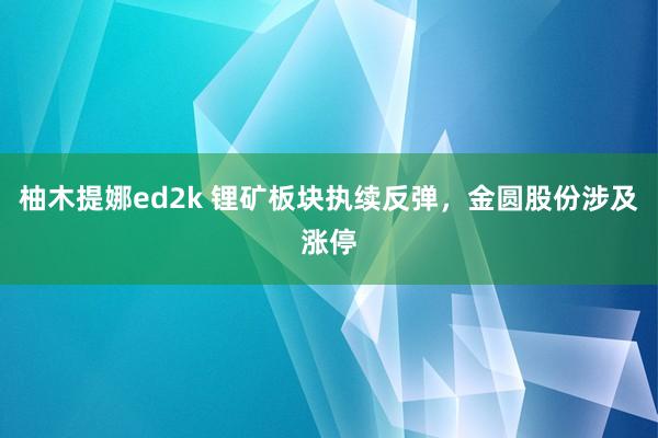 柚木提娜ed2k 锂矿板块执续反弹，金圆股份涉及涨停