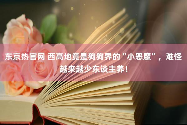东京热官网 西高地竟是狗狗界的“小恶魔”，难怪越来越少东谈主养！
