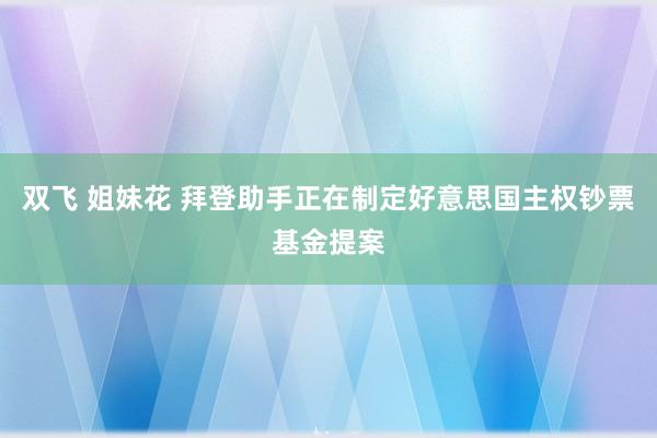双飞 姐妹花 拜登助手正在制定好意思国主权钞票基金提案