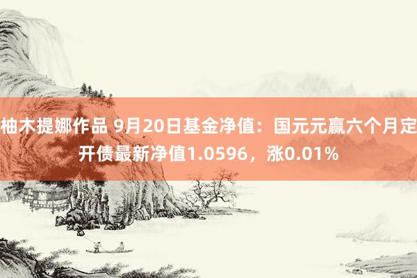 柚木提娜作品 9月20日基金净值：国元元赢六个月定开债最新净值1.0596，涨0.01%