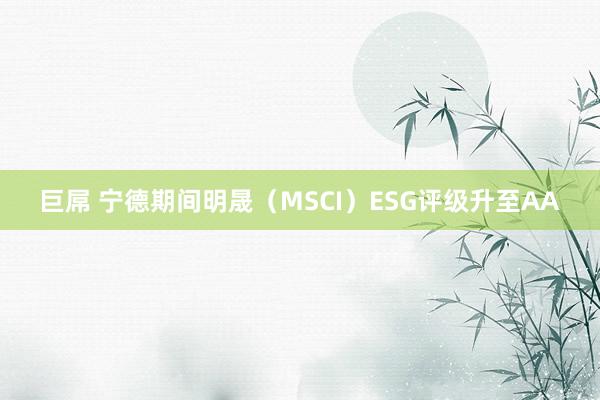 巨屌 宁德期间明晟（MSCI）ESG评级升至AA