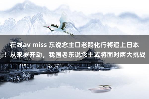 在线av miss 东说念主口老龄化行将追上日本！从来岁开动，我国老东说念主或将面对两大挑战