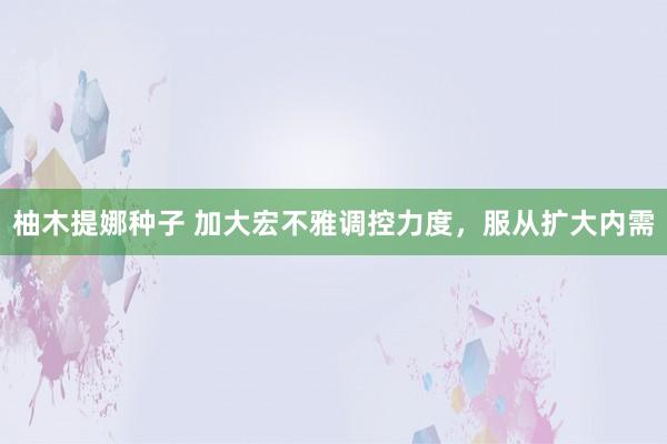柚木提娜种子 加大宏不雅调控力度，服从扩大内需