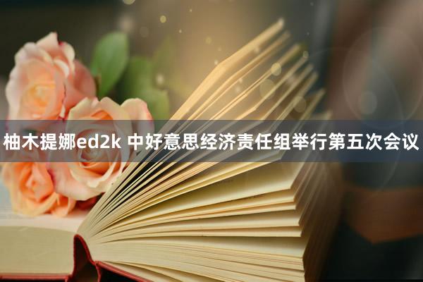 柚木提娜ed2k 中好意思经济责任组举行第五次会议