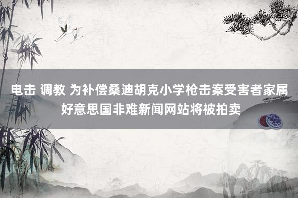 电击 调教 为补偿桑迪胡克小学枪击案受害者家属 好意思国非难新闻网站将被拍卖