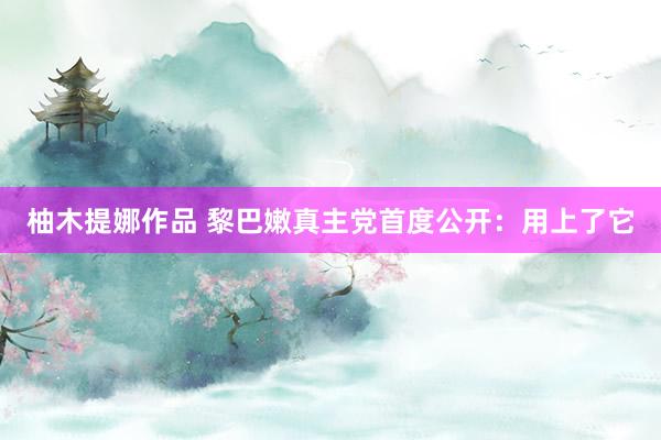 柚木提娜作品 黎巴嫩真主党首度公开：用上了它