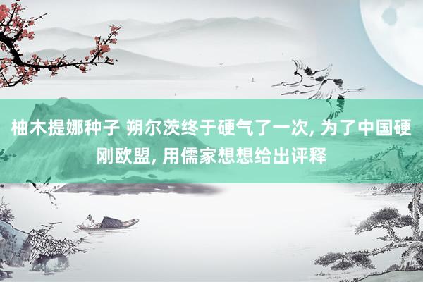 柚木提娜种子 朔尔茨终于硬气了一次, 为了中国硬刚欧盟, 用儒家想想给出评释