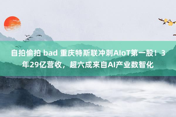 自拍偷拍 bad 重庆特斯联冲刺AIoT第一股！3年29亿营收，超六成来自AI产业数智化