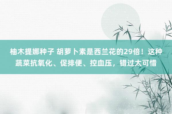 柚木提娜种子 胡萝卜素是西兰花的29倍！这种蔬菜抗氧化、促排便、控血压，错过太可惜