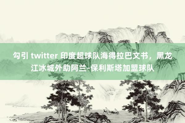 勾引 twitter 印度超球队海得拉巴文书，黑龙江冰城外助阿兰-保利斯塔加盟球队