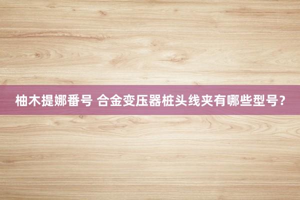 柚木提娜番号 合金变压器桩头线夹有哪些型号？