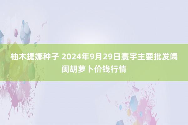 柚木提娜种子 2024年9月29日寰宇主要批发阛阓胡萝卜价钱行情