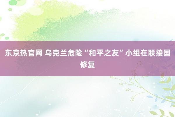 东京热官网 乌克兰危险“和平之友”小组在联接国修复