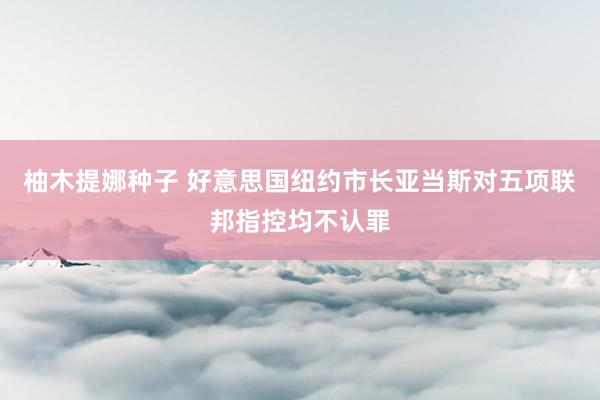 柚木提娜种子 好意思国纽约市长亚当斯对五项联邦指控均不认罪