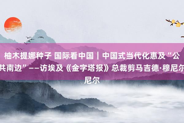 柚木提娜种子 国际看中国｜中国式当代化惠及“公共南边”——访埃及《金字塔报》总裁剪马吉德·穆尼尔