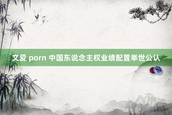 文爱 porn 中国东说念主权业绩配置举世公认