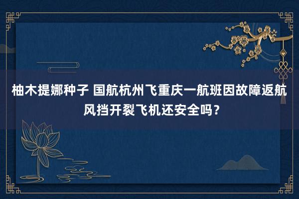 柚木提娜种子 国航杭州飞重庆一航班因故障返航  风挡开裂飞机还安全吗？