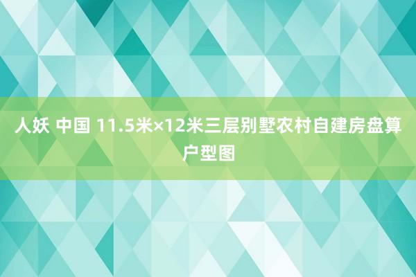 人妖 中国 11.5米×12米三层别墅农村自建房盘算户型图