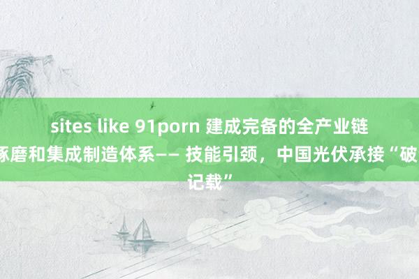 sites like 91porn 建成完备的全产业链研发琢磨和集成制造体系—— 技能引颈，中国光伏承接“破记载”