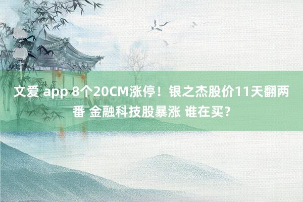 文爱 app 8个20CM涨停！银之杰股价11天翻两番 金融科技股暴涨 谁在买？