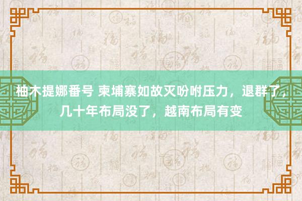柚木提娜番号 柬埔寨如故灭吩咐压力，退群了，几十年布局没了，越南布局有变