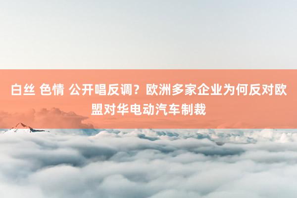 白丝 色情 公开唱反调？欧洲多家企业为何反对欧盟对华电动汽车制裁