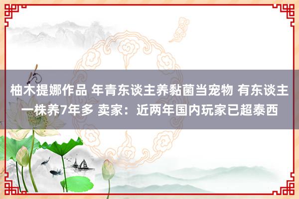 柚木提娜作品 年青东谈主养黏菌当宠物 有东谈主一株养7年多 卖家：近两年国内玩家已超泰西