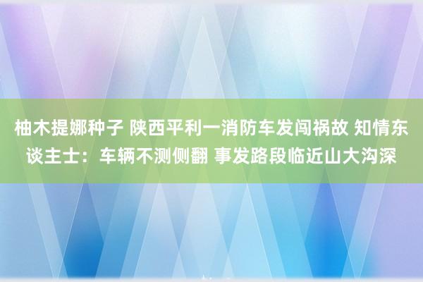 柚木提娜种子 陕西平利一消防车发闯祸故 知情东谈主士：车辆不测侧翻 事发路段临近山大沟深