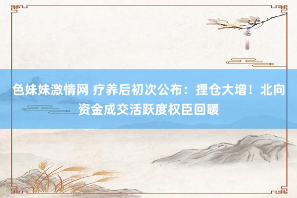 色妹妹激情网 疗养后初次公布：捏仓大增！北向资金成交活跃度权臣回暖