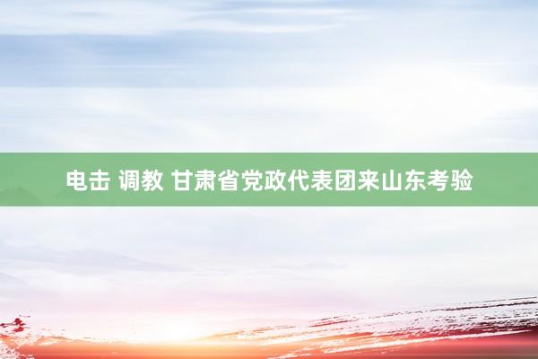 电击 调教 甘肃省党政代表团来山东考验