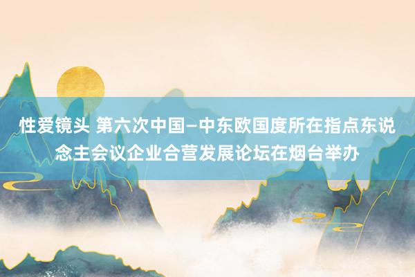 性爱镜头 第六次中国—中东欧国度所在指点东说念主会议企业合营发展论坛在烟台举办