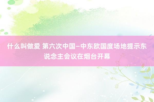 什么叫做爱 第六次中国—中东欧国度场地提示东说念主会议在烟台开幕