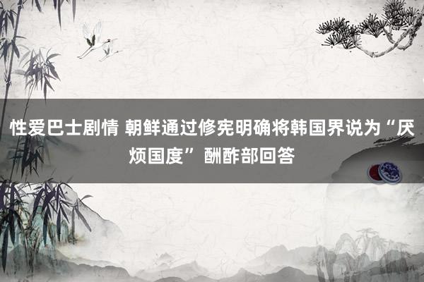性爱巴士剧情 朝鲜通过修宪明确将韩国界说为“厌烦国度” 酬酢部回答