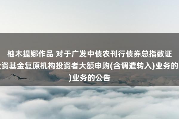 柚木提娜作品 对于广发中债农刊行债券总指数证券投资基金复原机构投资者大额申购(含调遣转入)业务的公告