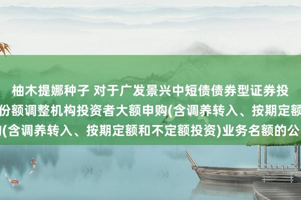 柚木提娜种子 对于广发景兴中短债债券型证券投资基金A类和C类基金份额调整机构投资者大额申购(含调养转入、按期定额和不定额投资)业务名额的公告