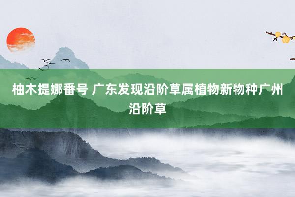 柚木提娜番号 广东发现沿阶草属植物新物种广州沿阶草