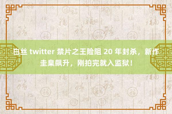 白丝 twitter 禁片之王险阻 20 年封杀，新作圭臬飙升，刚拍完就入监狱！