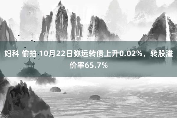 妇科 偷拍 10月22日弥远转债上升0.02%，转股溢价率65.7%
