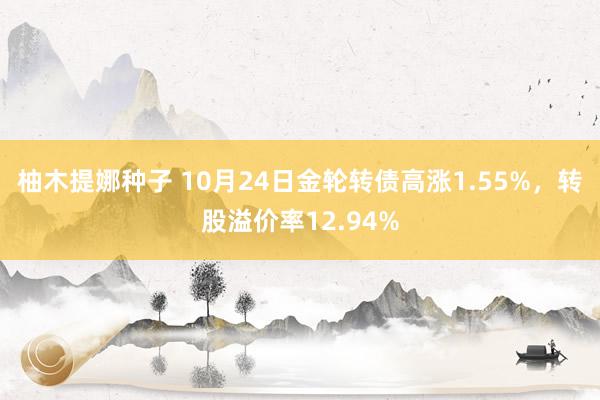 柚木提娜种子 10月24日金轮转债高涨1.55%，转股溢价率12.94%