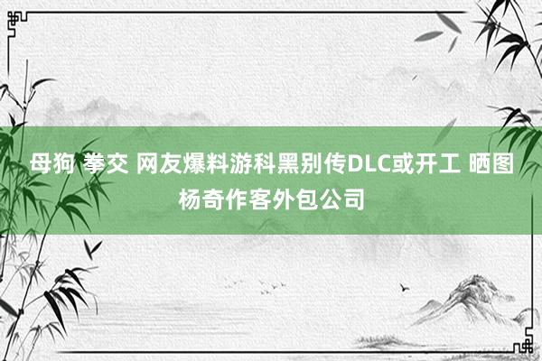 母狗 拳交 网友爆料游科黑别传DLC或开工 晒图杨奇作客外包公司