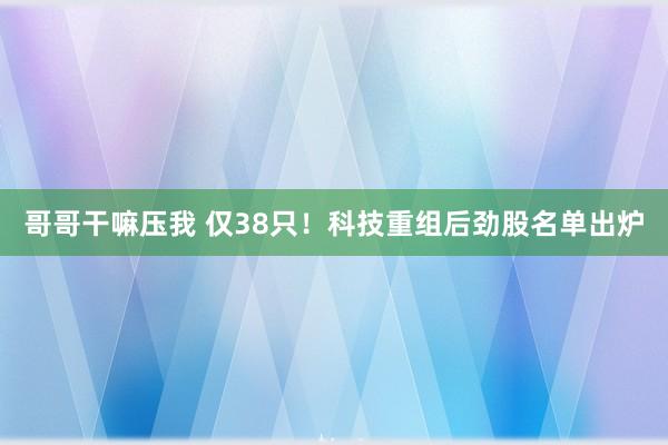 哥哥干嘛压我 仅38只！科技重组后劲股名单出炉