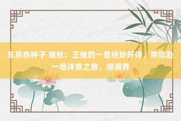东京热种子 晚秋：王维的一首绝妙好诗，带您赴一场诗意之旅，很调养