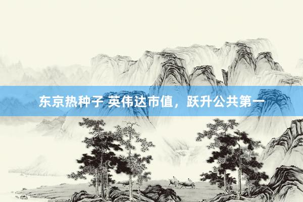 东京热种子 英伟达市值，跃升公共第一