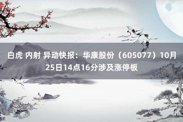 白虎 内射 异动快报：华康股份（605077）10月25日14点16分涉及涨停板