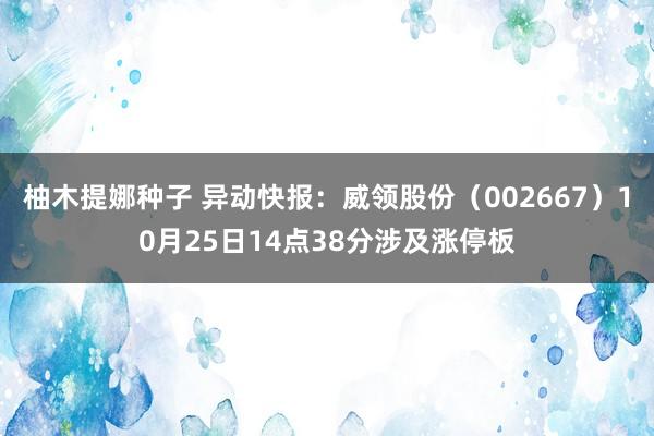 柚木提娜种子 异动快报：威领股份（002667）10月25日14点38分涉及涨停板