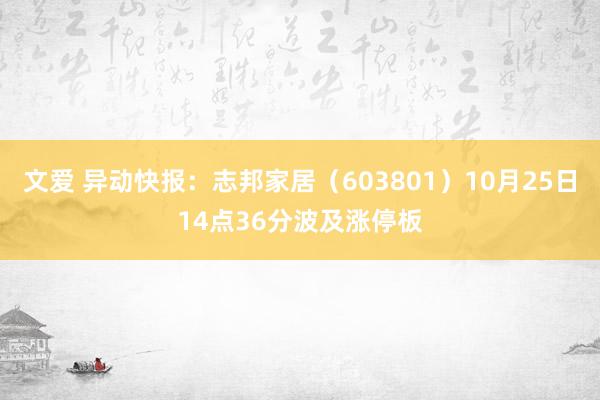 文爱 异动快报：志邦家居（603801）10月25日14点36分波及涨停板