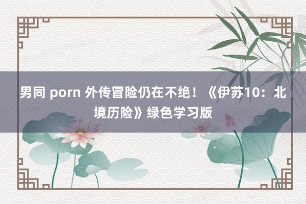 男同 porn 外传冒险仍在不绝！《伊苏10：北境历险》绿色学习版