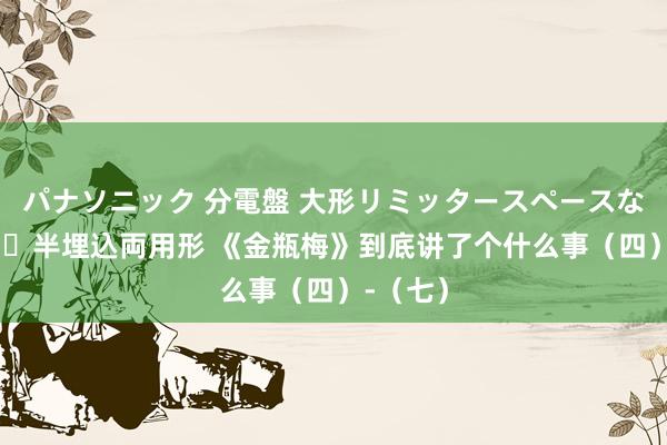 パナソニック 分電盤 大形リミッタースペースなし 露出・半埋込両用形 《金瓶梅》到底讲了个什么事（四）-（七）